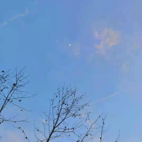 这一生关于你的风景 | 枯木逢春